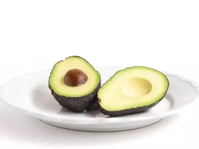 Cultivo Exitoso del Aguacate: Guía Completa para Tu Jardín