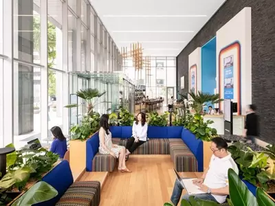 El Poder Verde en el Entorno Laboral: Plantas que Transforman Oficinas