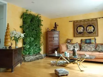 Plantas y Feng Shui: Armonizando el Hogar y Purificando el Aire