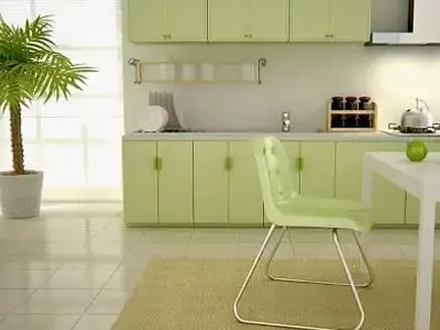 Armonía Natural: Integrando Plantas en Espacios Minimalistas
