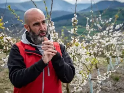 Panorama Actual del Cultivo de Cerezas: Innovaciones y Desafíos Globales