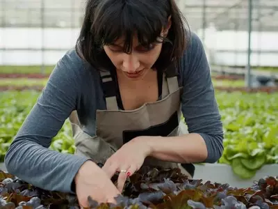 El Arte Esencial del Riego en el Cuidado Vegetal