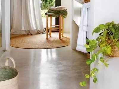Epipremnum Aureum: La Guía Definitiva para el Cuidado de tu Poto en Interiores