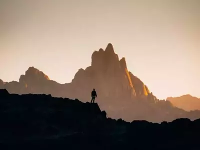 La Iniciativa Global "Nature's AI" Propone una Soluci￳n Integral para la Salud Mental y Ambiental