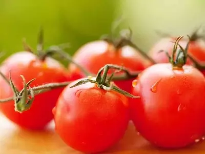 Optimización del Cultivo de Tomates: Guía Esencial de Poda para Maximizar la Cosecha