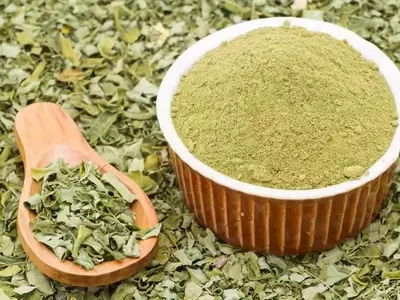 Moringa Ole￭fera: El "￁rbol de la Vida" y sus M￺ltiples Beneficios