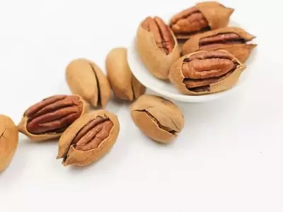Descubriendo el Misterio de la Nuez Pecana: Un Fruto con Historia y Múltiples Aplicaciones