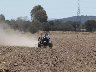 Inicia Programa de Apoyo con Fertilizantes Gratuitos para Productores Agrícolas