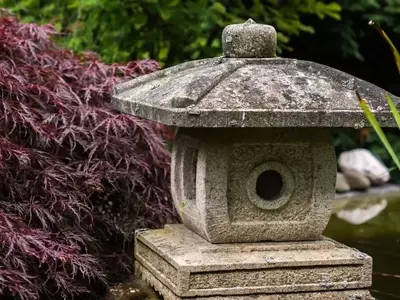 Plantas que Armonizan el Hogar: Un Enfoque Feng Shui