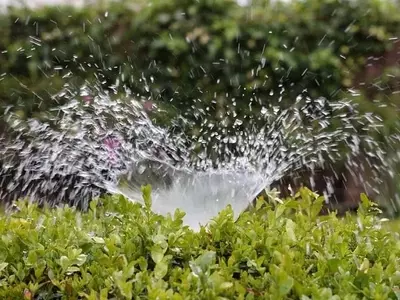 Optimización del Riego: Guía Completa para Sistemas Automáticos en Jardinería