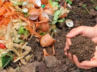 Guía Práctica para la Creación de Vermicompost Doméstico
