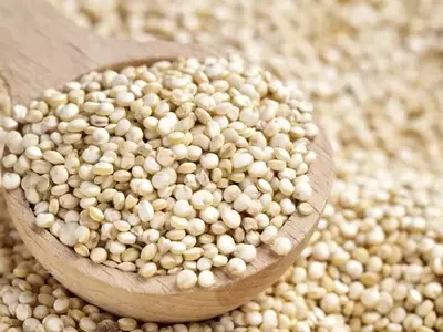 La Quinua: Un Grano Nutritivo con Propiedades Excepcionales para la Salud y el Cultivo