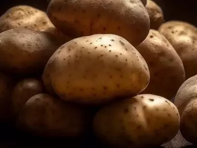 Avances en la Predicción de Viabilidad de Semillas de Papa Mediante Análisis Bioquímico
