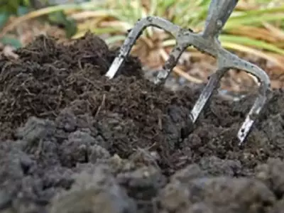 El Estiércol: Un Tesoro Agrícola Resurgente para la Sostenibilidad del Suelo
