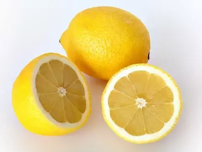 Guía Definitiva para Seleccionar Árboles Frutales Perennes para su Jardín