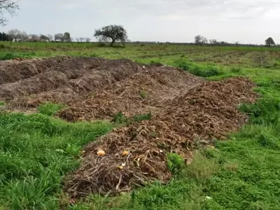 Mejorando la Fertilidad del Suelo: Abonos Esenciales para Jardines Saludables