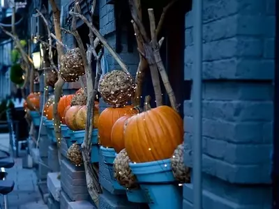 Guía Completa para el Cultivo de Calabazas: Desde la Semilla hasta la Cosecha