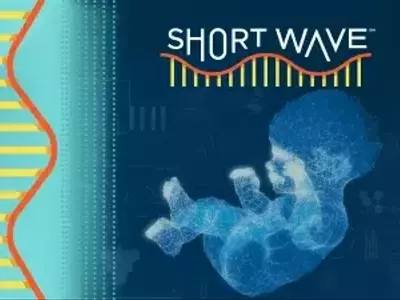 Gene Editing: Reshaping Human Future