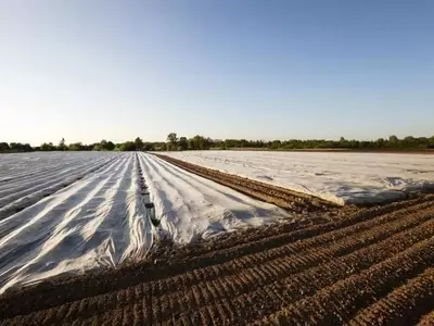 Solarización del Suelo: Un Método Ecológico para Revitalizar la Tierra