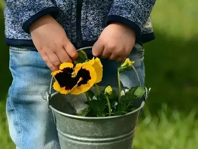 La Siembra y el Cuidado de Plantas: Una Aventura Educativa para Niños