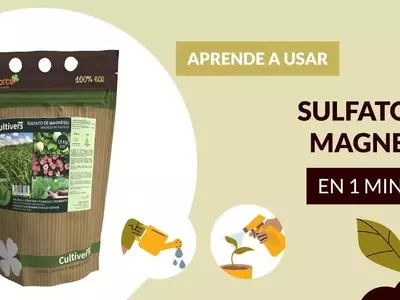 Optimización del Crecimiento Vegetal: El Poder del Sulfato de Magnesio en la Agricultura Moderna