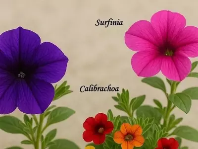 Surfinias y Petunias: Guía Completa para un Jardín Floreciente