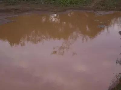 Optimización del Cultivo en Suelos Arcillosos: Una Guía Completa