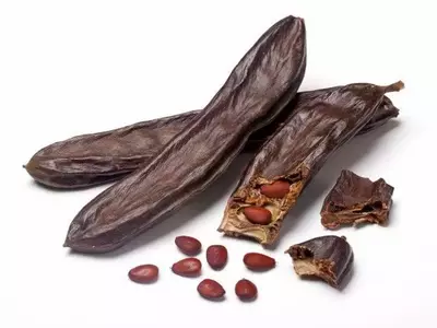 Diversidad del Algarrobo: Un Análisis Exhaustivo de Sus Variedades y Características