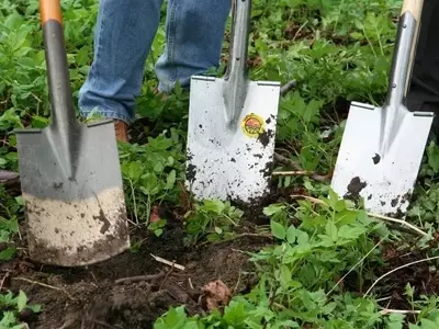 Guía Esencial para el Cuidado del Jardín: Técnicas y Consejos Prácticos