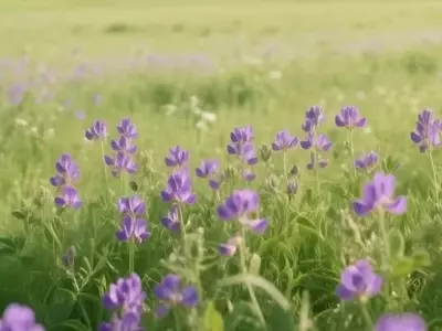 Avances Genéticos para Fortalecer la Alfalfa frente a la Antracnosis
