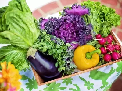 Las Hortalizas: Nutrición, Clasificación y Técnicas de Cultivo