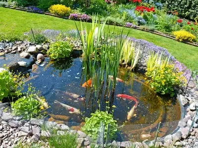 Creación y Mantenimiento de Estanques de Jardín: Guía Completa
