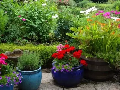 Guía Completa para el Cultivo Exitoso de Plantas en Macetas