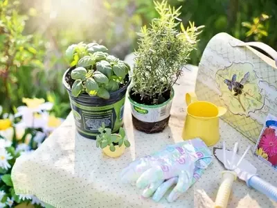 Consejos Esenciales para el Mantenimiento Exitoso de Jardines