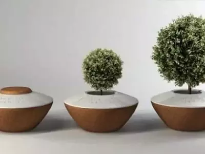 Innovación Funeraria: Urnas Biodegradables Transforman el Recuerdo en Vida Arborícola