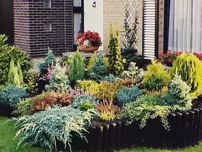 Creando un Jardín de Rocas Exuberante: Guía Completa para el Diseño y Cuidado