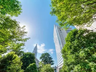 Los Bosques Urbanos: Héroes Inesperados en la Lucha contra el Cambio Climático