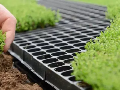 La Guía Definitiva para Elegir el Sustrato Perfecto para tus Plantas