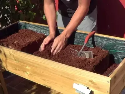 Cultivo en Casa: Guía Completa de Mesas de Cultivo para Huertos Urbanos