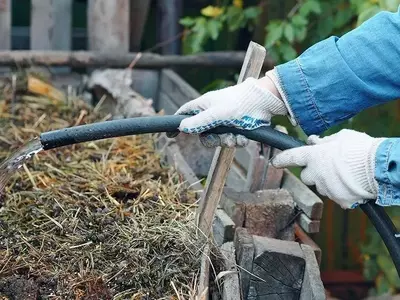 Guía Completa para el Uso de Estiércol en la Jardinería: Tipos, Beneficios y Aplicación Sostenible