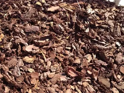 Los Múltiples Beneficios y Aplicaciones de la Corteza de Pino en la Jardinería Moderna