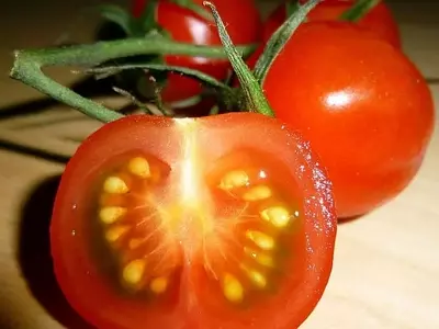 Cultivo de Verduras en Interiores: Una Guía Esencial