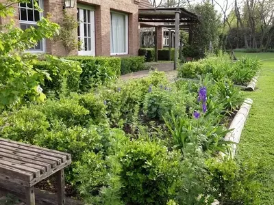 La Primavera en tu Jardín: Ventajas y Desafíos de la Estación del Renacer