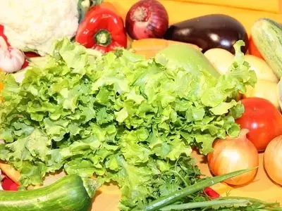 Un Festín Invernal: Descubre las Verduras Esenciales para Tu Salud en la Temporada Fría