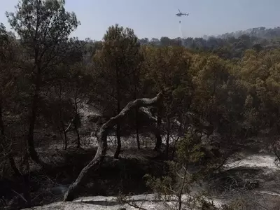 Tormentas Secas Azotan España: Impacto y Consecuencias Devastadoras