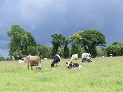 Un Nuevo Horizonte para la Agricultura: Integrando la Biodiversidad en la Producción de Alimentos