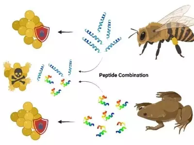 Proteínas Naturales: La Innovadora Defensa contra Superbacterias en la Agricultura