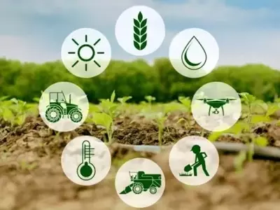 Revolución Agrícola: Impulso Tecnológico para un Futuro Sostenible
