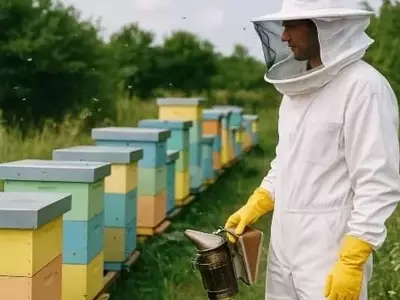 La Termorregulación en Colmenas: Estrategias de Confort de las Abejas