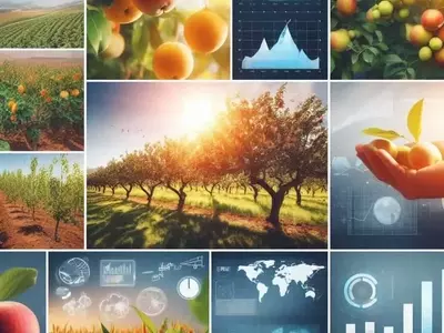 Estrategias de Fertilización para Árboles Frutales tras la Cosecha